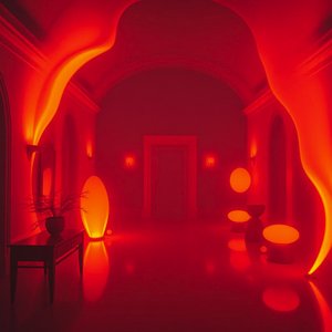 Zebra's Neon Umbrella