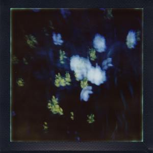 【Free】"Fallen Leaves" Future x Migos Type Beat