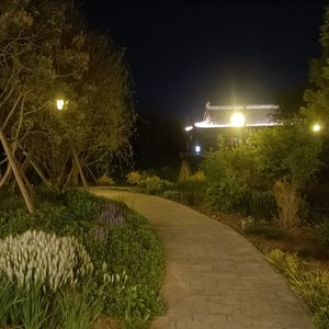 迟家（cover王珺捷）