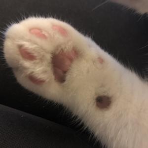 你是我宝贝(prod by Nino)