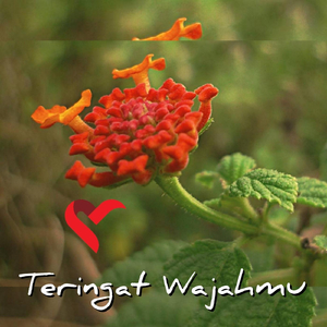 Teringat Wajahmu (Recycle)