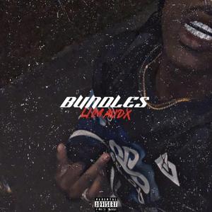 Bundles