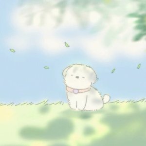 风浪和鸣