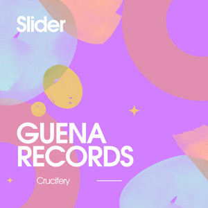 Slider (Original Mix)