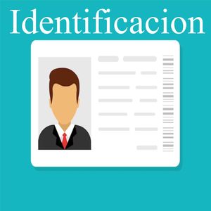 Identificacion