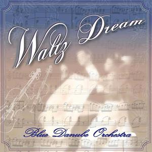 An der schönen blauen Donau, Op. 314