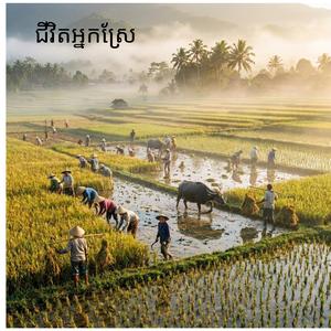 ជីវិតអ្នកស្រែ