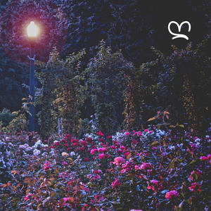 Magoa (feat. Kitoko Sound, Arándano, Kitoko Piano & Din BEATS)