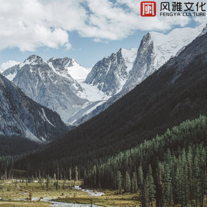 望着窗外的男孩 -小提琴