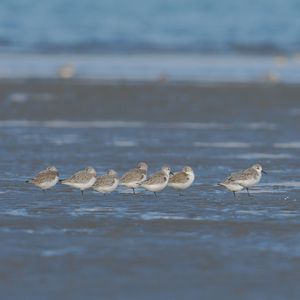 Project_2也不知道唱的谁的爱情故事