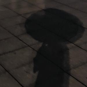 走掉的时候 有好好回头看你