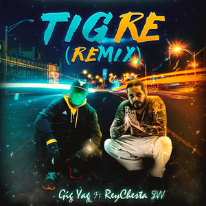Tigre (Remix) [feat. Reychesta SW]