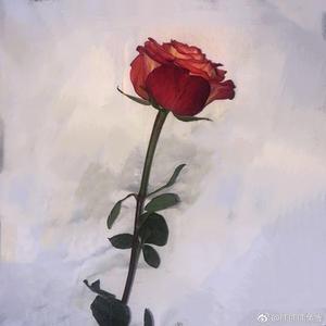 暖心