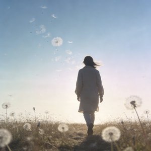 新身份，新旅程