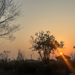 降低愿望和期待