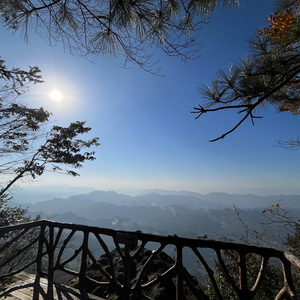 再见吧，我亲爱的朋友