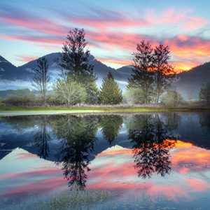 정신없이 달려나가는 나날들