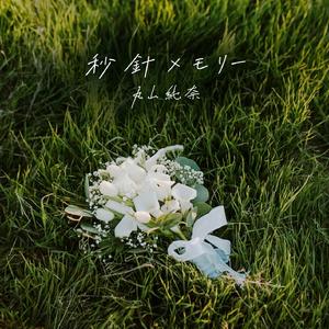 秒針メモリー
