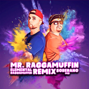 Mr Raggamuffin Remix