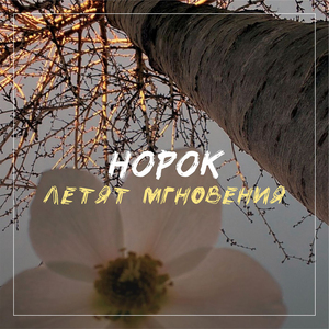 Звездный час На молдавском