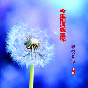 今生相遇就是缘