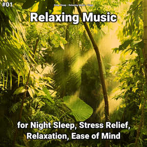 Relaxing Music Pt. 85