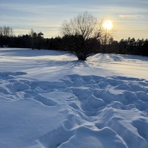《未签收的温柔》