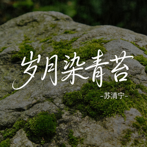岁月染青苔