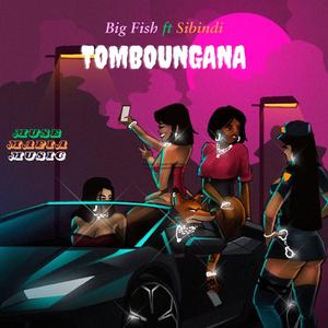Tomboungana (feat. Big Fish & Sibindi)