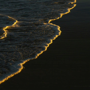 我想念你一如独自xx的悲伤