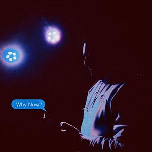 Why Now? (feat. Los Alva & André) (Remix)