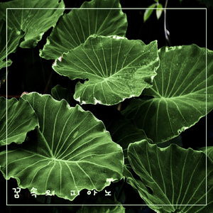 숲속의 명상 (편안한 느낌)