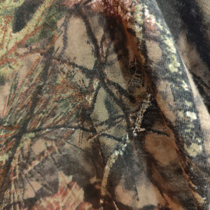 சான்சேவை