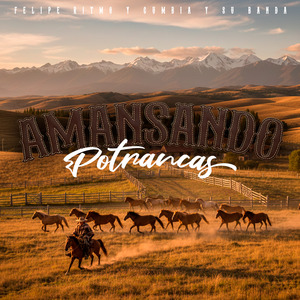 Amansando Potrancas