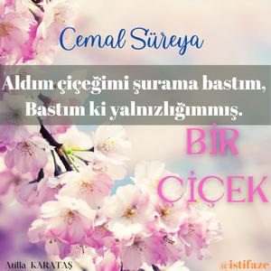Cemal SÜREYA - Bir ÇİÇEK