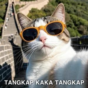 TANGKAP KAKA TANGKAP