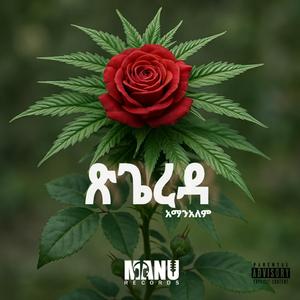 ጽጌረዳ ,tsigereda