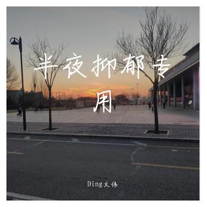 我爱你不问归期