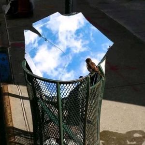 '天上人间' feng x nostalgia core beat