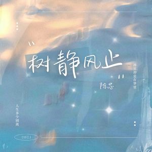 树静风止