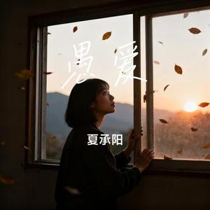 问流光