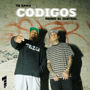 Codigos