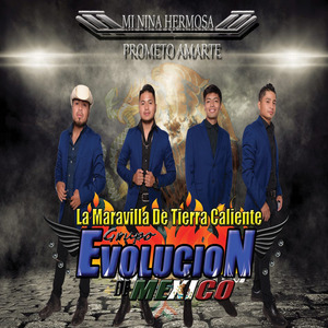TE-METISTES