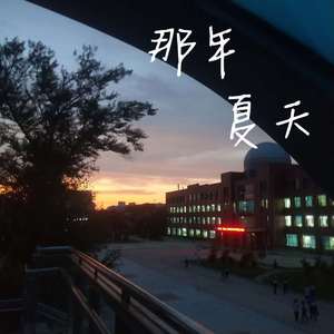 那年夏天
