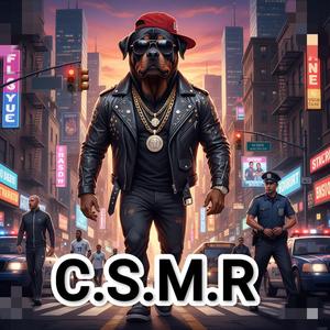 CSMR