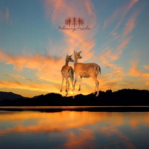 은색 자작나무의 땅 (장작나무 모닥불 소리)