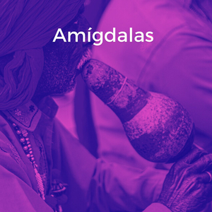 Amígdalas