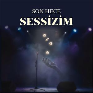 Sessizim (Live)