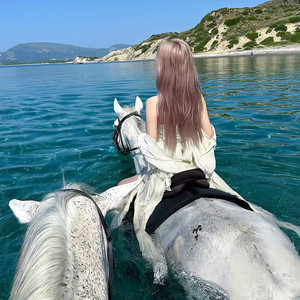 柴 鱼 の c a l l i n g (降速版)