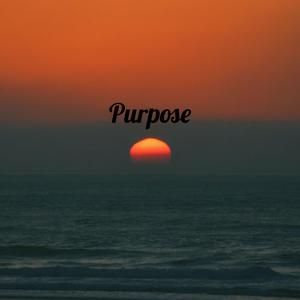Purpose